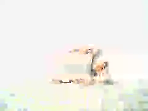 mellow smoke online show from April 10, 8:02 pm