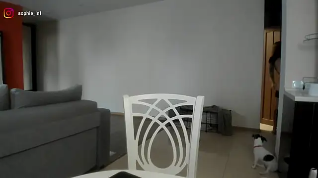  in yan online show from February 18, 3:57 am