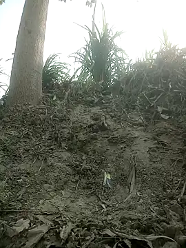 FinableKnee online show from October 15, 4:01 am