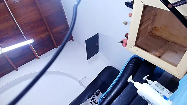 sofi decker online show from November 5, 12:38 pm