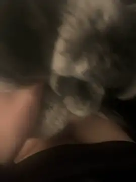 Snapshot of Furdale chatting on December 17, 4:00 pm Furdale online show from December 17, 4:00 pm