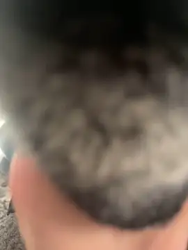 Snapshot of Furdale chatting on February 22, 4:40 pm Furdale online show from February 22, 4:40 pm