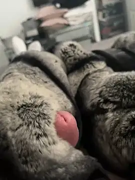 Snapshot of Furdale chatting on February 26, 12:58 pm Furdale online show from February 26, 12:58 pm