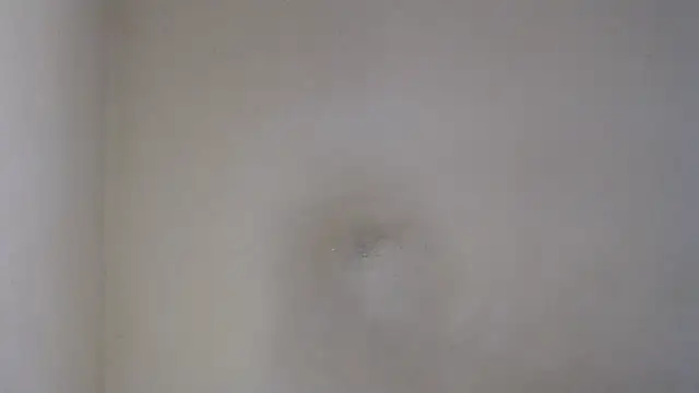 AlexNudo online show from February 26, 12:03 pm