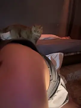 Bastet online show from January 14, 9:51 pm