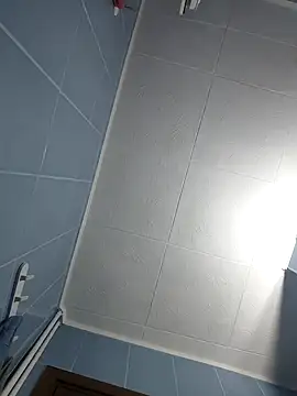 Snapshot of Govora chatting on December 29, 11:07 am Govora online show from December 29, 11:07 am