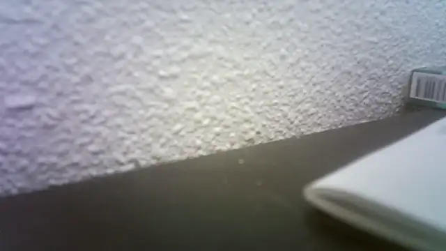 Snapshot of pau65vb chatting on November 19, 8:03 am pau65vb online show from November 19, 8:03 am