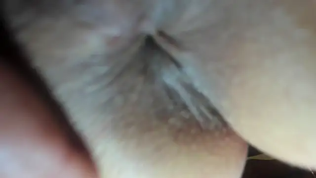 FrumCake online show from December 21, 3:47 am