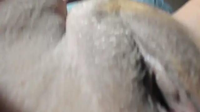 FrumCake online show from December 27, 1:11 am