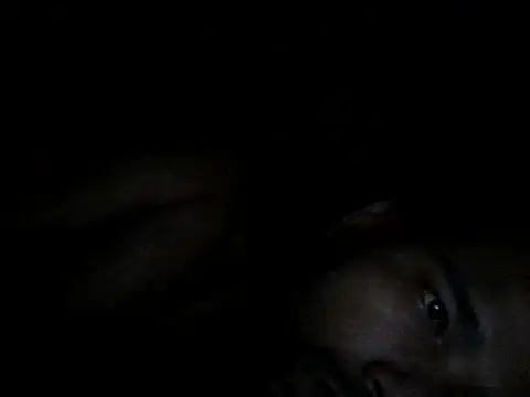 chittagong77 online show from December 5, 6:15 pm