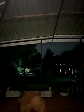 Snapshot of dinamita_Blair chatting on October 17, 1:20 am dinamita Blair online show from October 17, 1:20 am