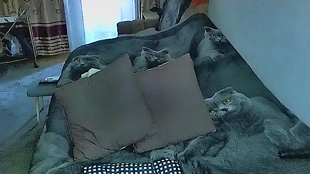 sex2 online show from September 25, 11:52 pm