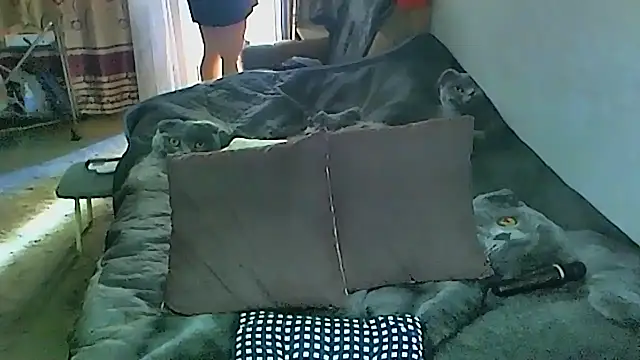 sex2 online show from September 27, 1:54 am