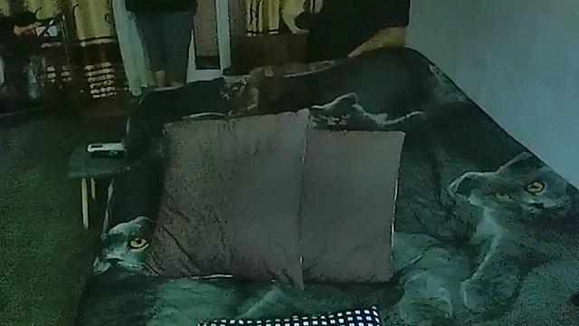 sex2 online show from March 30, 12:11 am