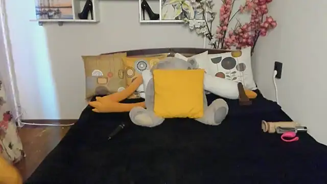 Stripchatlady online show from September 10, 2:22 am