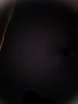 Snapshot of Pitercom chatting on October 19, 9:04 pm Pitercom online show from October 19, 9:04 pm