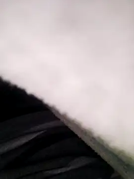 Snapshot of Pitercom chatting on November 10, 8:41 pm Pitercom online show from November 10, 8:41 pm