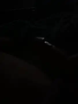 RoccoWild55 online show from January 10, 4:36 am