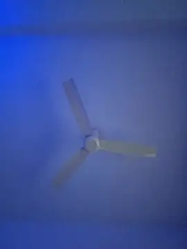 Snapshot of monabhabi22 chatting on February 24, 11:32 am monabhabi22 online show from February 24, 11:32 am