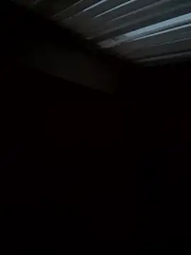 Flossy Vettie online show from November 25, 2:39 pm