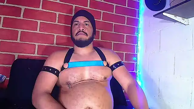 the master foal  online show from January 8, 4:11 pm