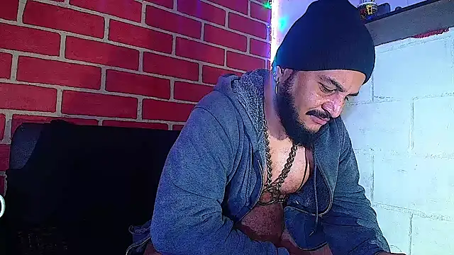 the master foal  online show from January 11, 1:32 pm