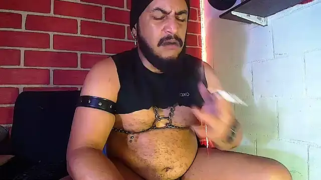 the master foal  online show from January 12, 11:39 am