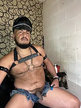 the master foal  online show from April 2, 7:17 am