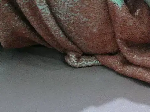 FUN4TIPS online show from March 1, 7:26 pm