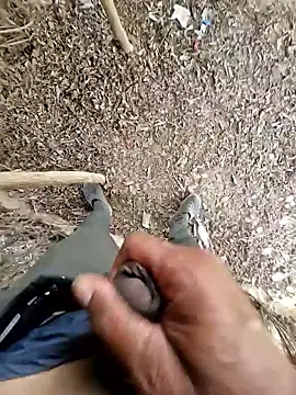 Snapshot of breejs chatting on October 23, 6:02 am breejs online show from October 23, 6:02 am