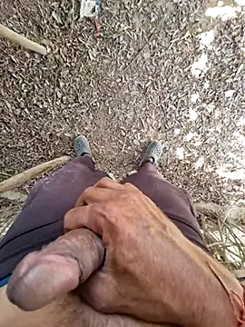 Snapshot of breejs chatting on November 15, 6:55 am breejs online show from November 15, 6:55 am