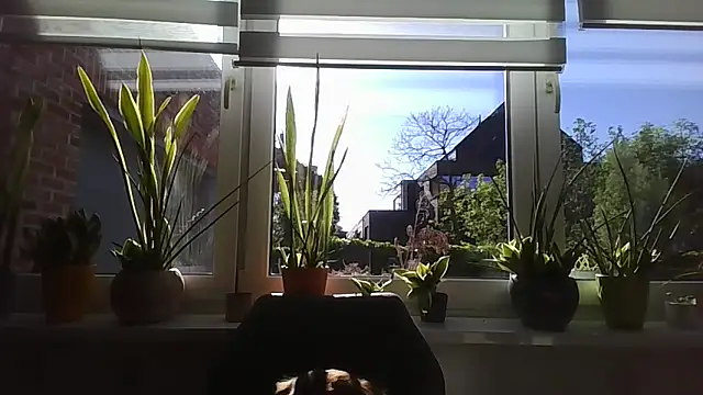 LiquidLeonie online show from April 30, 7:04 am