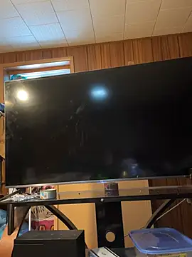 Mini And The Bear online show from March 29, 3:01 pm