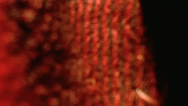 rockhead1971 online show from October 18, 10:49 am