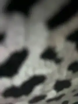 Snapshot of Sarita-candy chatting on January 31, 8:01 pm Sarita-candy online show from January 31, 8:01 pm