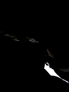 Snapshot of 74bob chatting on September 21, 4:25 am 74bob online show from September 21, 4:25 am