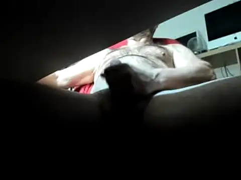 leccaleccafiga online show from March 1, 3:49 pm