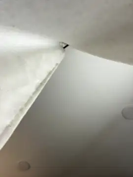 Snapshot of GeorginaJones chatting on January 18, 2:25 am GeorginaJones online show from January 18, 2:25 am