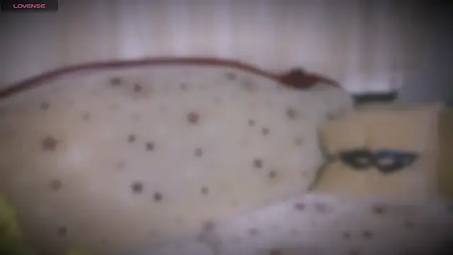 MERA arab online show from January 19, 8:09 pm