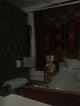 Snapshot of GHsveter chatting on November 4, 8:35 am GHsveter online show from November 4, 8:35 am