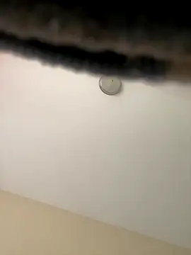 Snapshot of Iced_cloudz chatting on December 14, 3:17 pm Iced cloudz online show from December 14, 3:17 pm