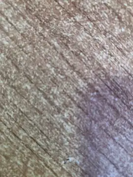 Snapshot of gokhanbey34 chatting on October 26, 8:53 am gokhanbey34 online show from October 26, 8:53 am