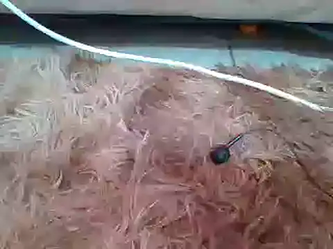 sexyjanett online show from March 11, 9:13 am