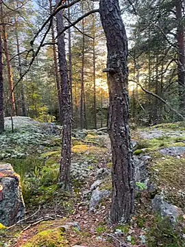 Snapshot of Andreashow chatting on October 19, 2:29 pm Andreashow online show from October 19, 2:29 pm