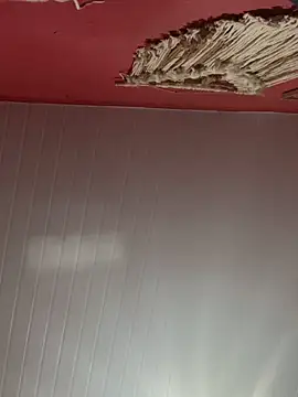 Snapshot of pimenta_gaby chatting on October 28, 11:14 am pimenta gaby online show from October 28, 11:14 am