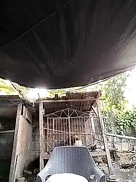 Snapshot of MS_Isabella_Snow92 chatting on February 22, 10:42 pm MS Isabella Snow92 online show from February 22, 10:42 pm