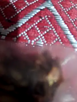 Snapshot of XBHUUME chatting on February 1, 10:15 am XBHUUME online show from February 1, 10:15 am