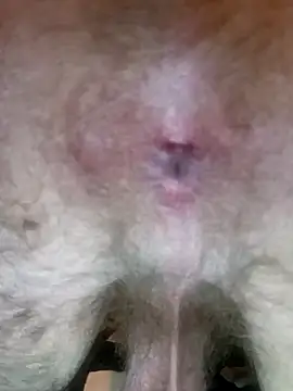 Snapshot of ShadowyTube chatting on November 1, 2:35 am ShadowyTube online show from November 1, 2:35 am