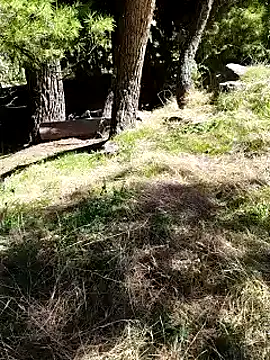 K-27 online show from October 4, 10:24 am