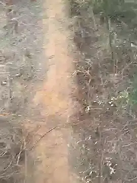 Snapshot of Gopal1243 chatting on February 10, 2:08 am Gopal1243 online show from February 10, 2:08 am